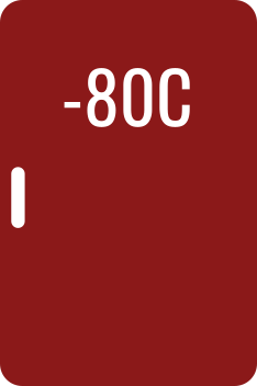 -80 Freezer