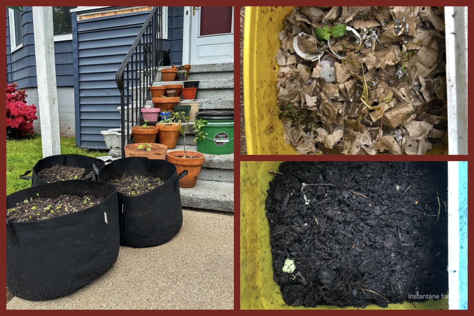 The collage shows three images related to gardening and composting. The left image features various potted plants and large black fabric planters on the steps of a house, while the top right image shows a yellow container filled with compost materials like cardboard and eggshells, and the bottom right image shows the same container with dark, rich compost soil.