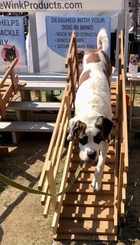 Ruff Ramp