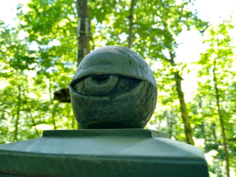 Site Specific Installations