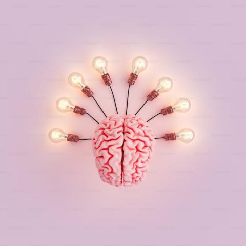  This image features a realistic model of a brain at the center with several lit lightbulbs radiating outward from it, resembling the rays of the sun. The background is a soft pink, creating a bright and creative atmosphere symbolizing ideas, innovation, and brainstorming..