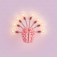  This image features a realistic model of a brain at the center with several lit lightbulbs radiating outward from it, resembling the rays of the sun. The background is a soft pink, creating a bright and creative atmosphere symbolizing ideas, innovation, and brainstorming..