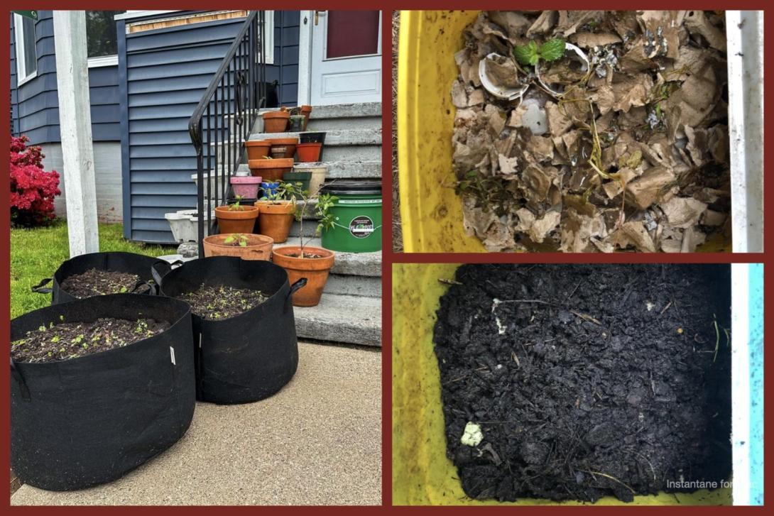 The collage shows three images related to gardening and composting. The left image features various potted plants and large black fabric planters on the steps of a house, while the top right image shows a yellow container filled with compost materials like cardboard and eggshells, and the bottom right image shows the same container with dark, rich compost soil.